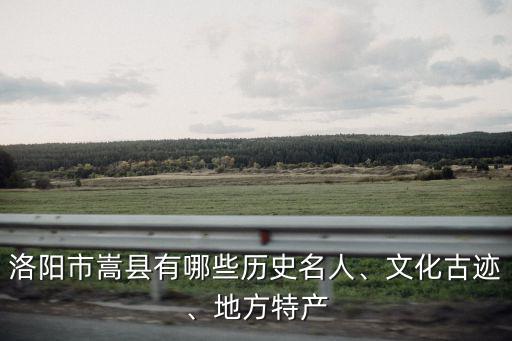 洛陽市有多少名全國(guó)人大代表,洛陽市嵩縣有哪些歷史名人