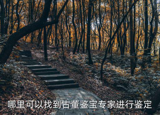 哪里可以找到古董鑒寶專家進(jìn)行鑒定