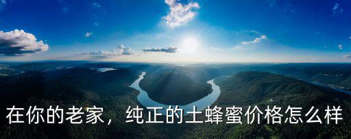 在你的老家，純正的土蜂蜜價格怎么樣