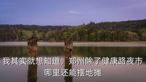我其實就想知道，鄭州除了健康路夜市哪里還能擺地攤