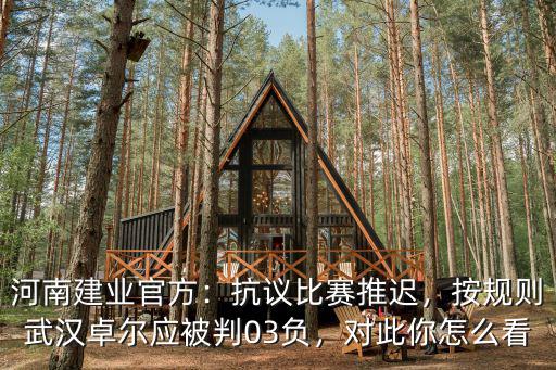 河南建業(yè)官方：抗議比賽推遲，按規(guī)則武漢卓爾應被判03負，對此你怎么看