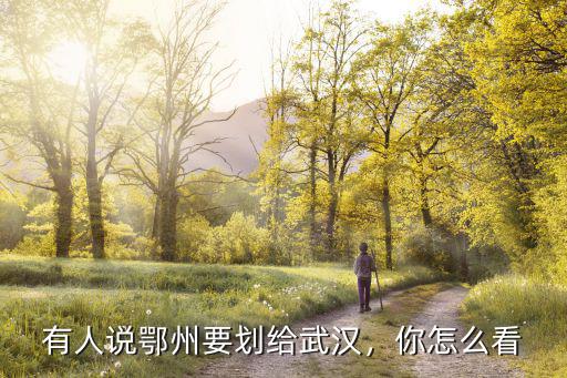 有人說鄂州要劃給武漢，你怎么看