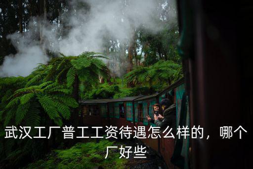 武漢工廠普工工資待遇怎么樣的，哪個廠好些