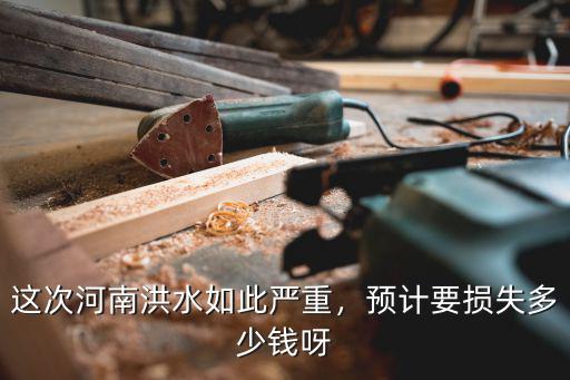 這次河南洪水如此嚴重，預計要損失多少錢呀