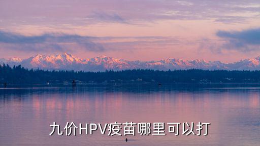 周口市哪里可以打hpv疫苗,九價HPV疫苗哪里可以打