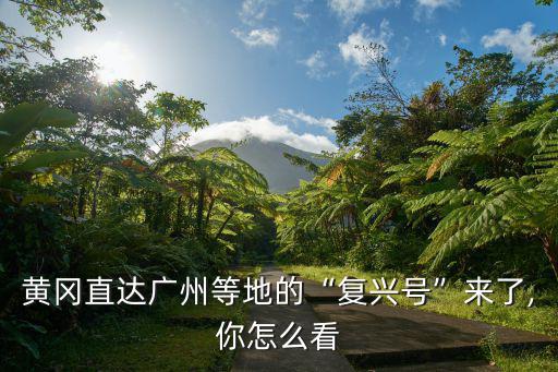 黃岡直達廣州等地的“復興號”來了,你怎么看
