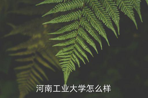 河南工業(yè)大學(xué)怎么樣