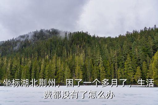 坐標湖北荊州，困了一個多月了，生活費都沒有了怎么辦