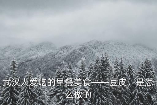 武漢老通城豆皮的面糊怎么做,武漢豆皮的皮子怎么粘鍋