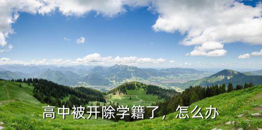 荊州高中生被開(kāi)除怎么辦,高一被學(xué)校開(kāi)除了怎么辦