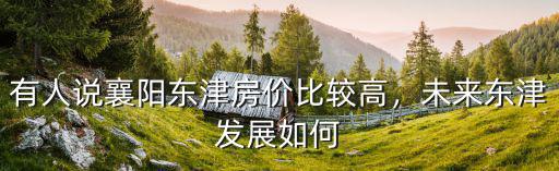 有人說襄陽東津房價比較高，未來東津發(fā)展如何