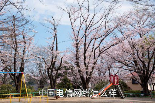 中國(guó)電信湖北二師服務(wù)點(diǎn)怎么樣,中國(guó)電信怎么樣