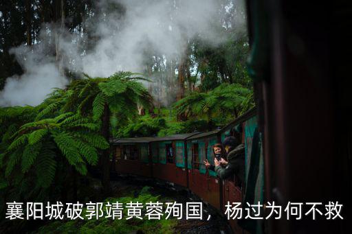 襄陽城破郭靖黃蓉殉國，楊過為何不救