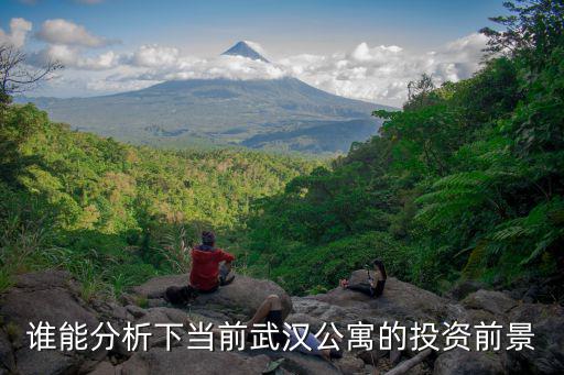 誰能分析下當前武漢公寓的投資前景