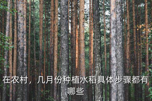 在農(nóng)村，幾月份種植水稻具體步驟都有哪些