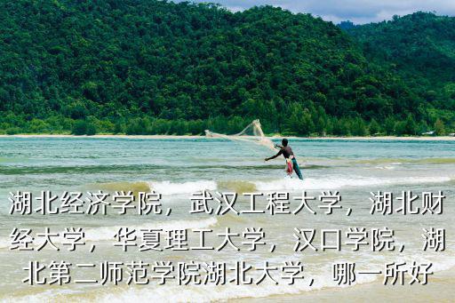 湖北經濟學院，武漢工程大學，湖北財經大學，華夏理工大學，漢口學院，湖北第二師范學院湖北大學，哪一所好