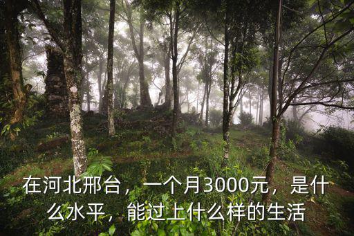 在河北邢臺，一個月3000元，是什么水平，能過上什么樣的生活