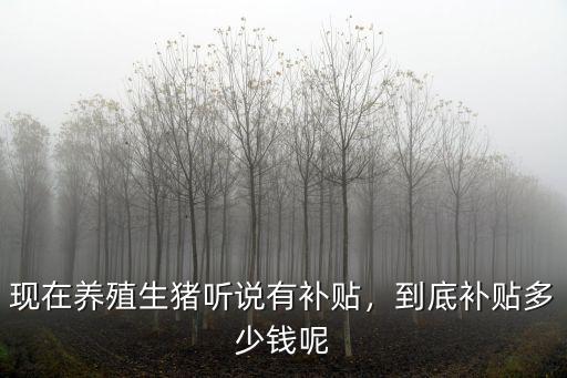 現在養殖生豬聽說有補貼，到底補貼多少錢呢