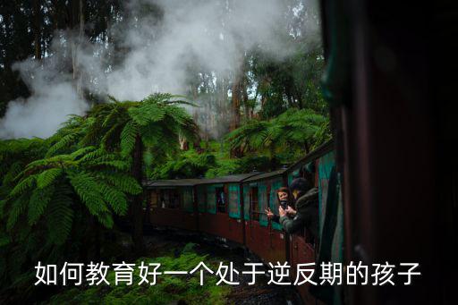 黃岡孩子逆反期怎么辦,有一個逆反期的孩子