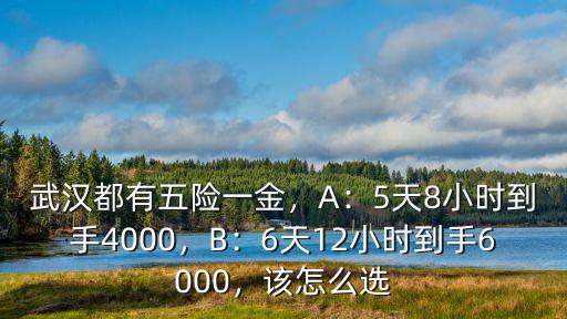 武漢都有五險一金，A：5天8小時到手4000，B：6天12小時到手6000，該怎么選