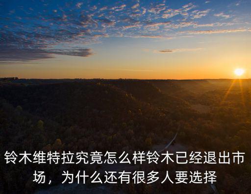 鈴木維特拉究竟怎么樣鈴木已經(jīng)退出市場(chǎng)，為什么還有很多人要選擇