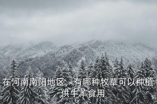 在河南南陽地區，有哪種牧草可以種植，供牛羊食用