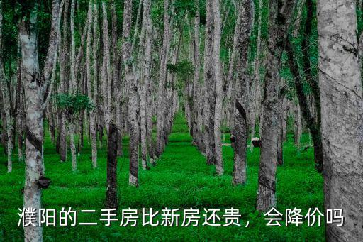 濮陽的二手房比新房還貴，會降價嗎