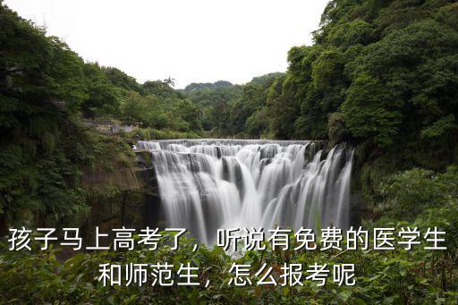 孩子馬上高考了，聽說有免費的醫學生和師范生，怎么報考呢