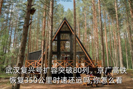 武漢復興號擴容突破80列，京廣高鐵恢復350公里時速還遠嗎,你怎么看