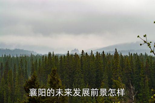 襄陽的未來發(fā)展前景怎樣