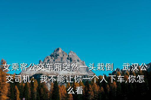怎么形容武漢公交車司機,武漢公交司機
