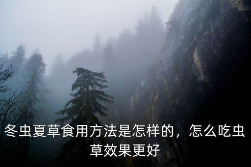 冬蟲(chóng)夏草食用方法是怎樣的，怎么吃蟲(chóng)草效果更好