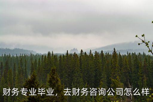 財務專業畢業，去財務咨詢公司怎么樣