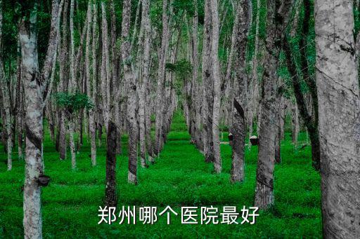鄭州金水中醫(yī)院有多少個(gè)病床位,鄭州的三甲醫(yī)院有多少