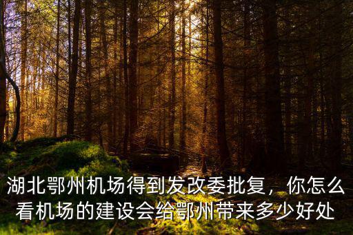 鄂州將會怎么發展,怎么不向西發展