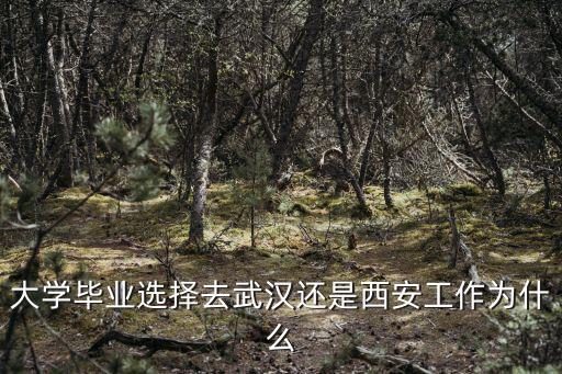大學畢業選擇去武漢還是西安工作為什么