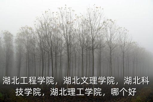 湖北工程學院，湖北文理學院，湖北科技學院，湖北理工學院，哪個好