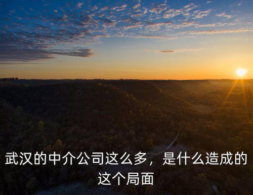 武漢的中介公司這么多，是什么造成的這個局面