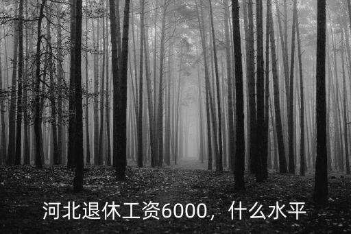 河北退休工資6000，什么水平