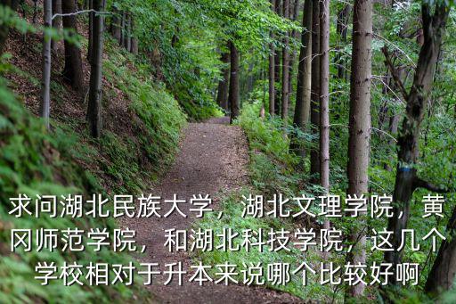 湖北文理學院怎么加入青馬,湖北文理學院