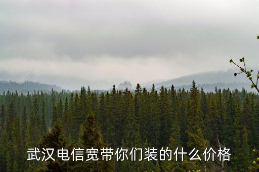 武漢電信寬帶你們裝的什么價格