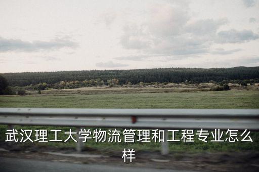 武漢理工大學物流管理和工程專業怎么樣