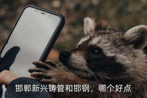 邯鋼在邯鄲地區(qū)有多少分廠,邯鄲在中國的哪里