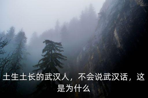 土生土長的武漢人，不會說武漢話，這是為什么