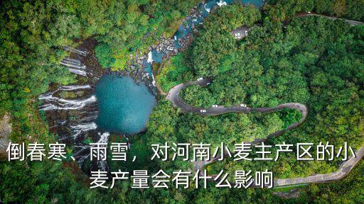 河南哪里下雪壓小麥了,河南小麥拔節(jié)孕穗