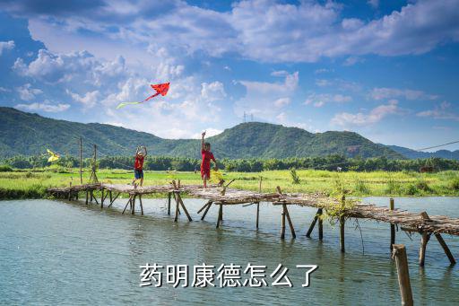 藥明康德怎么了