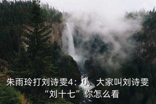 朱雨玲打劉詩雯4：0，大家叫劉詩雯“劉十七”你怎么看