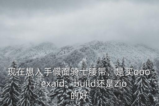 現在想入手假面騎士腰帶，是買ooo、exaid、build還是zio的好