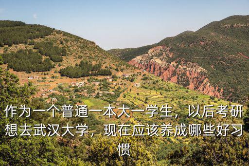 作為一個普通一本大一學生，以后考研想去武漢大學，現在應該養成哪些好習慣