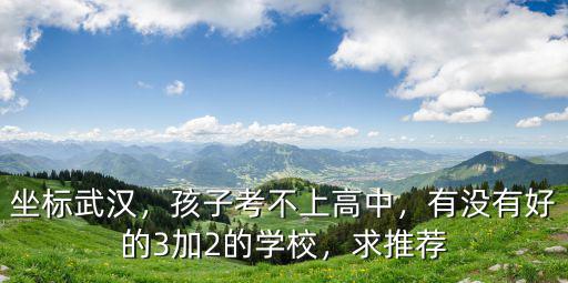 坐標武漢，孩子考不上高中，有沒有好的3加2的學校，求推薦